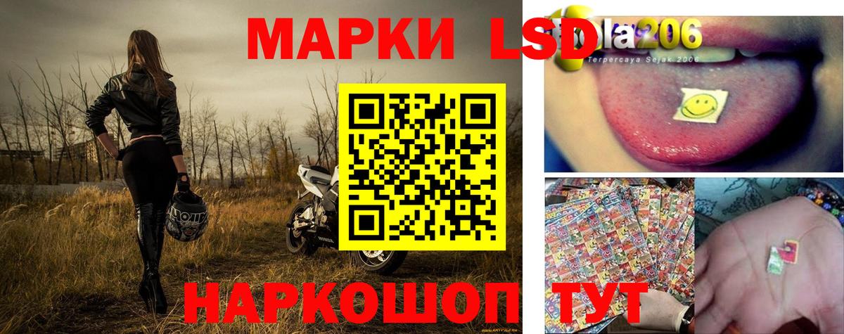 Наркотические марки 1,8мг  Марки N-bome  Лесной  купить наркотики сайты  Наркотические марки 1,8мг  Вход с VPN 