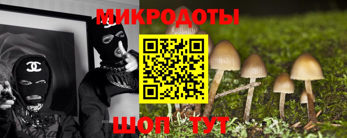 Галлюциногенные грибы Psilocybine cubensis  где купить   Псилоцибиновые грибы Magic Shrooms  Лесной  Вход с VPN 